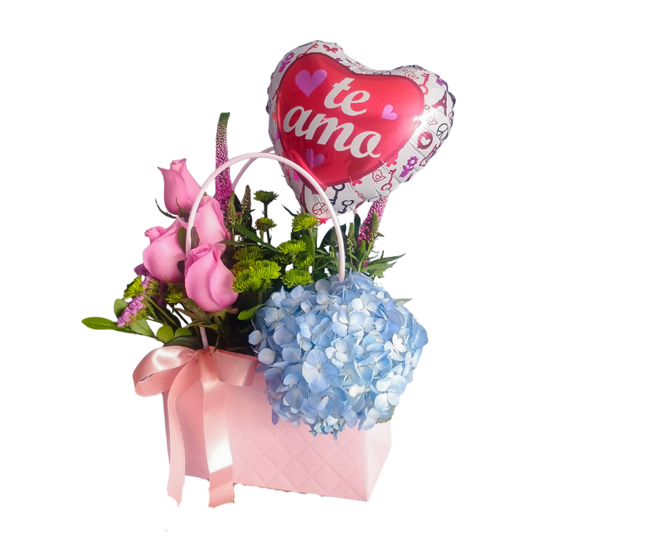 mi dulce amor mi dulce amor