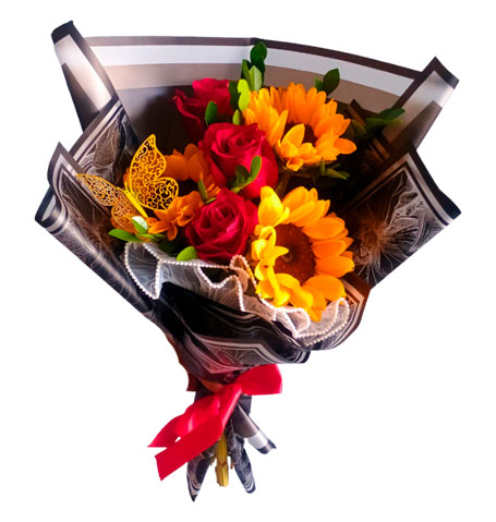 san valentin ramos